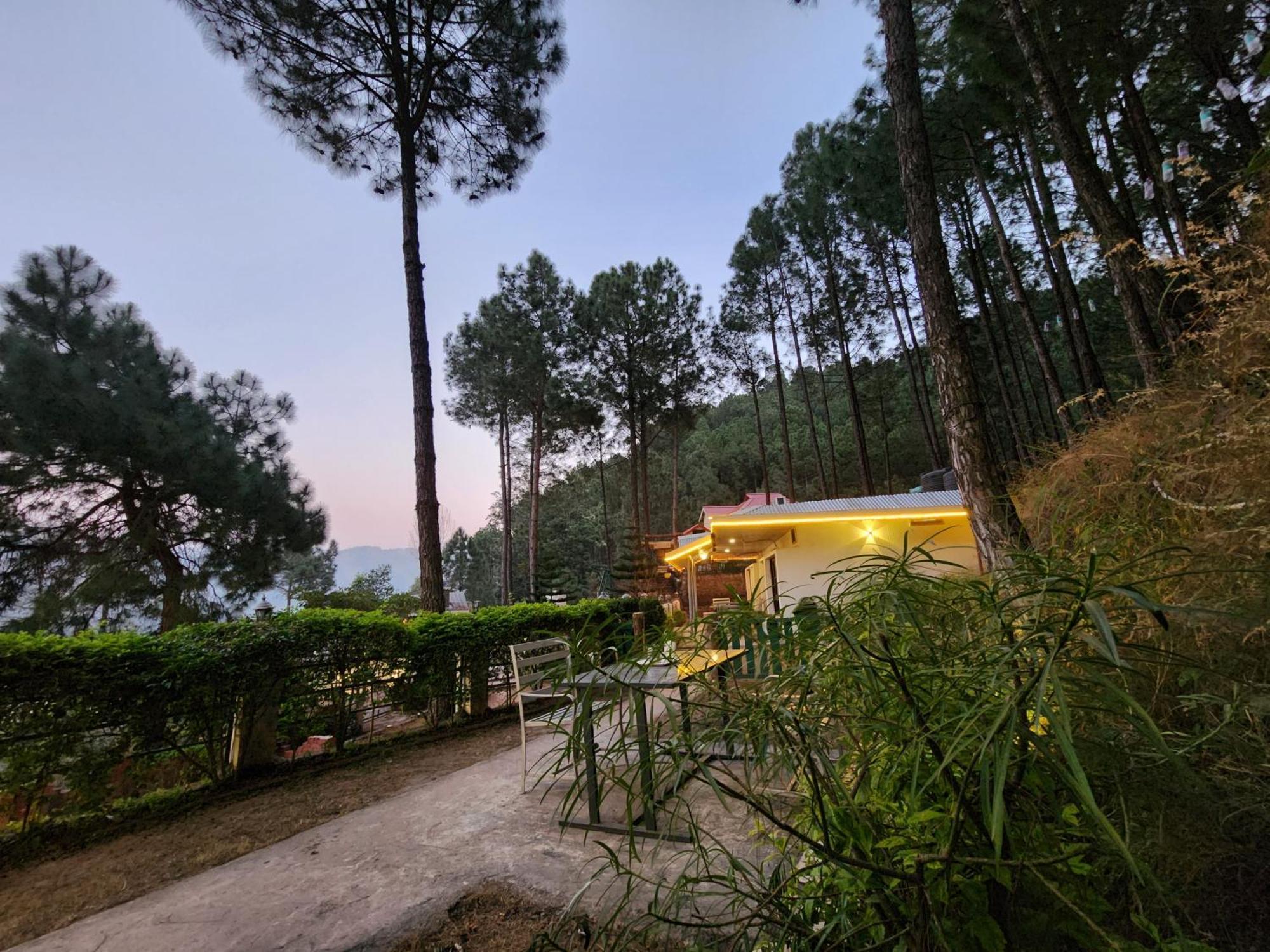 Pine Valley Resort Kasauli Eksteriør bilde