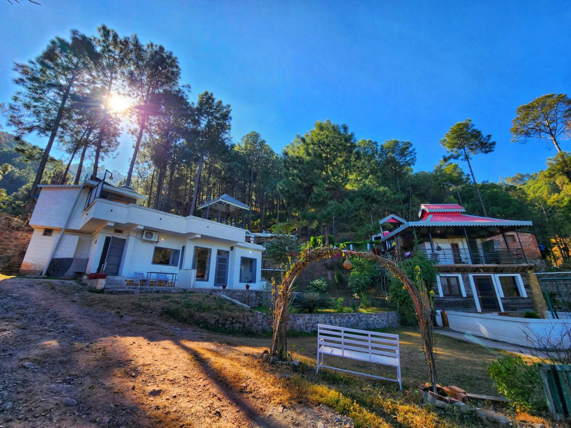 Pine Valley Resort Kasauli Eksteriør bilde